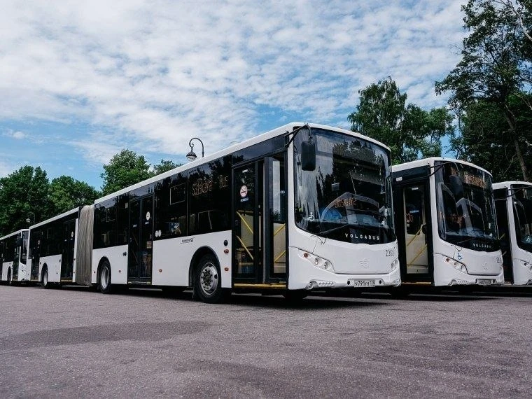 На самые загруженные маршруты в Омске выйдут 24 автобуса-«гармошки» 🚌
