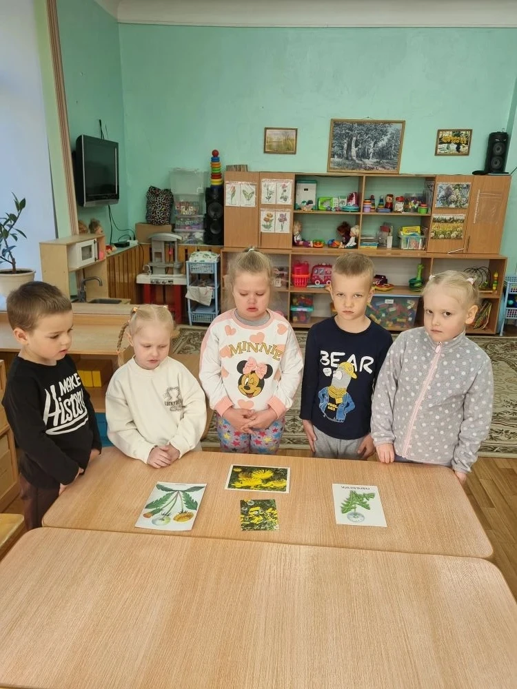 13 мая отмечается Международный день одуванчика !