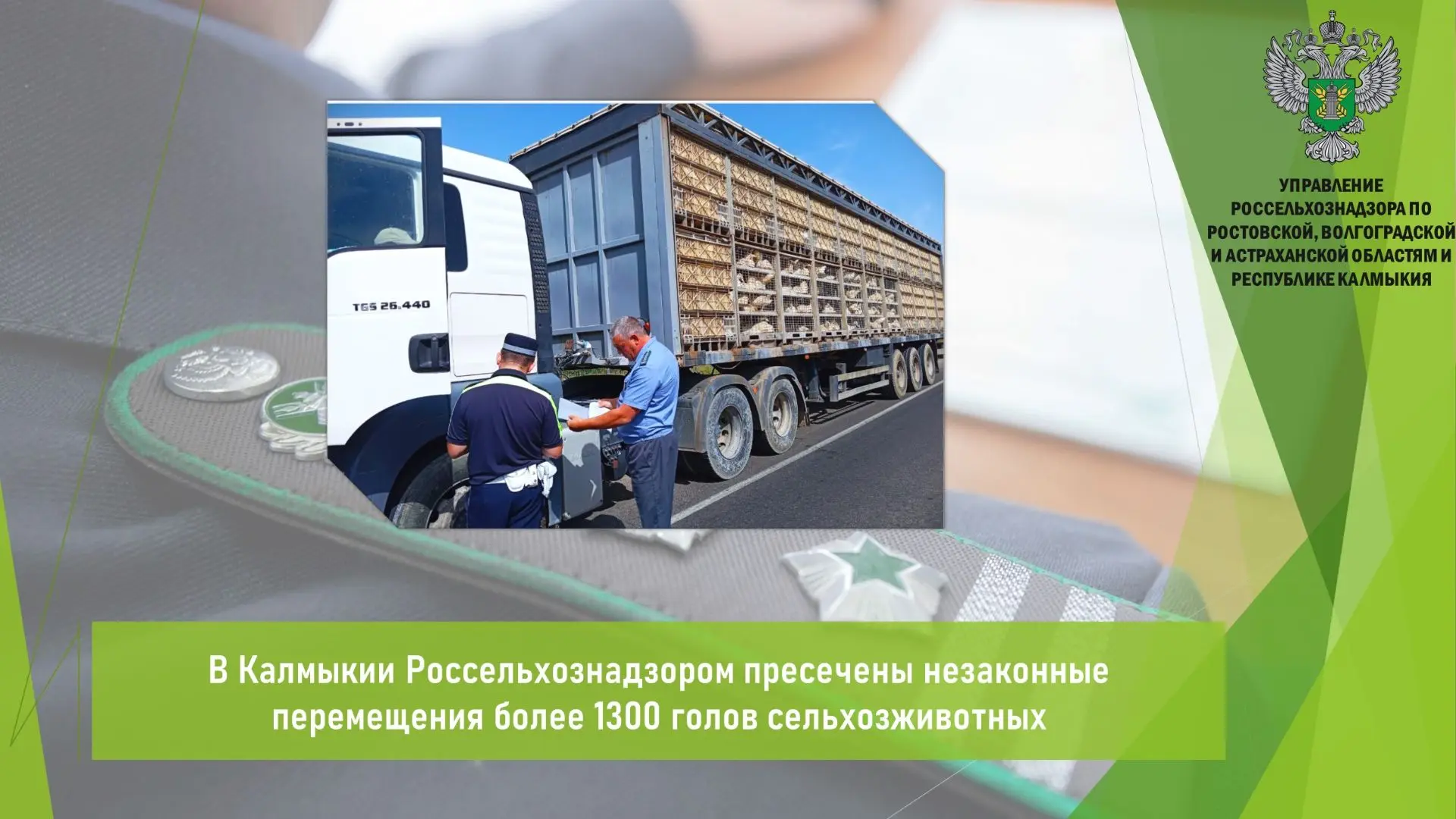 ❗ С начала года Управлением Россельхознадзора в рамках совместных мероприятий с террито...