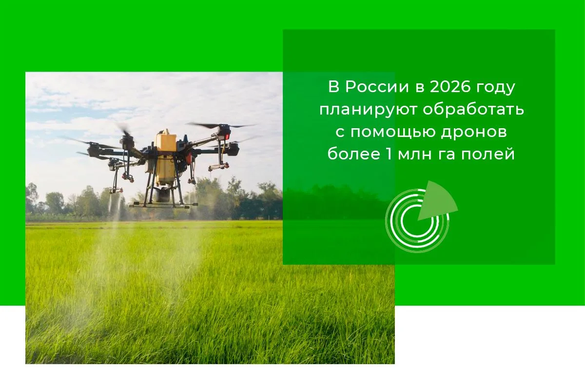 В РОССИИ В 2026 ГОДУ ПЛАНИРУЮТ ОБРАБОТАТЬ С ПОМОЩЬЮ ДРОНОВ БОЛЕЕ 1 МЛН ГА ПОЛЕЙ
 
🚁 Площадь сельхоз