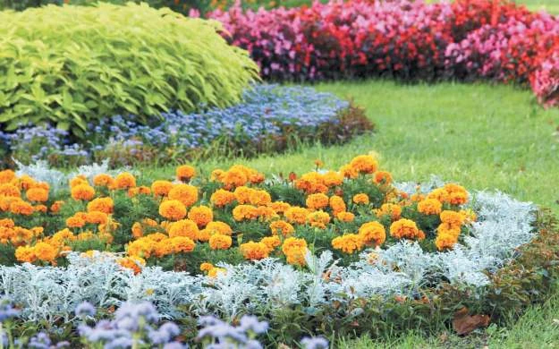 🌼Уважаемые родители, наша школа готовится к летнему озеленению пришкольного участка. Б...