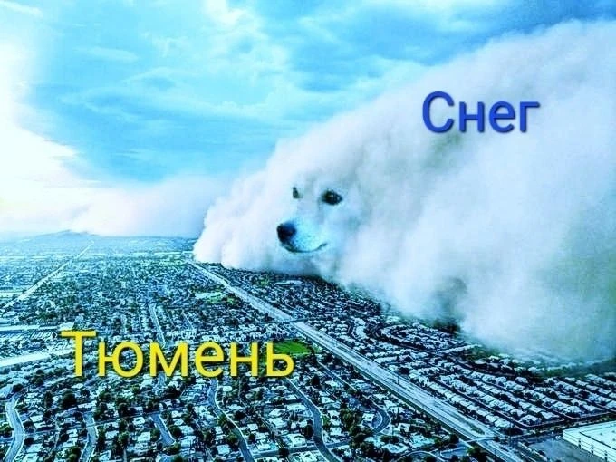 Первый снег придет в Тюмень уже на следующей неделе