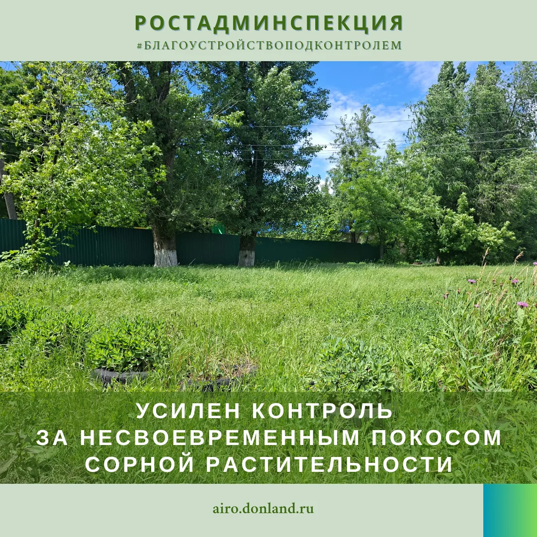 Напоминаем, что в пожароопасный период усилен контроль за надлежащим состоянием территорий. 

В ходе