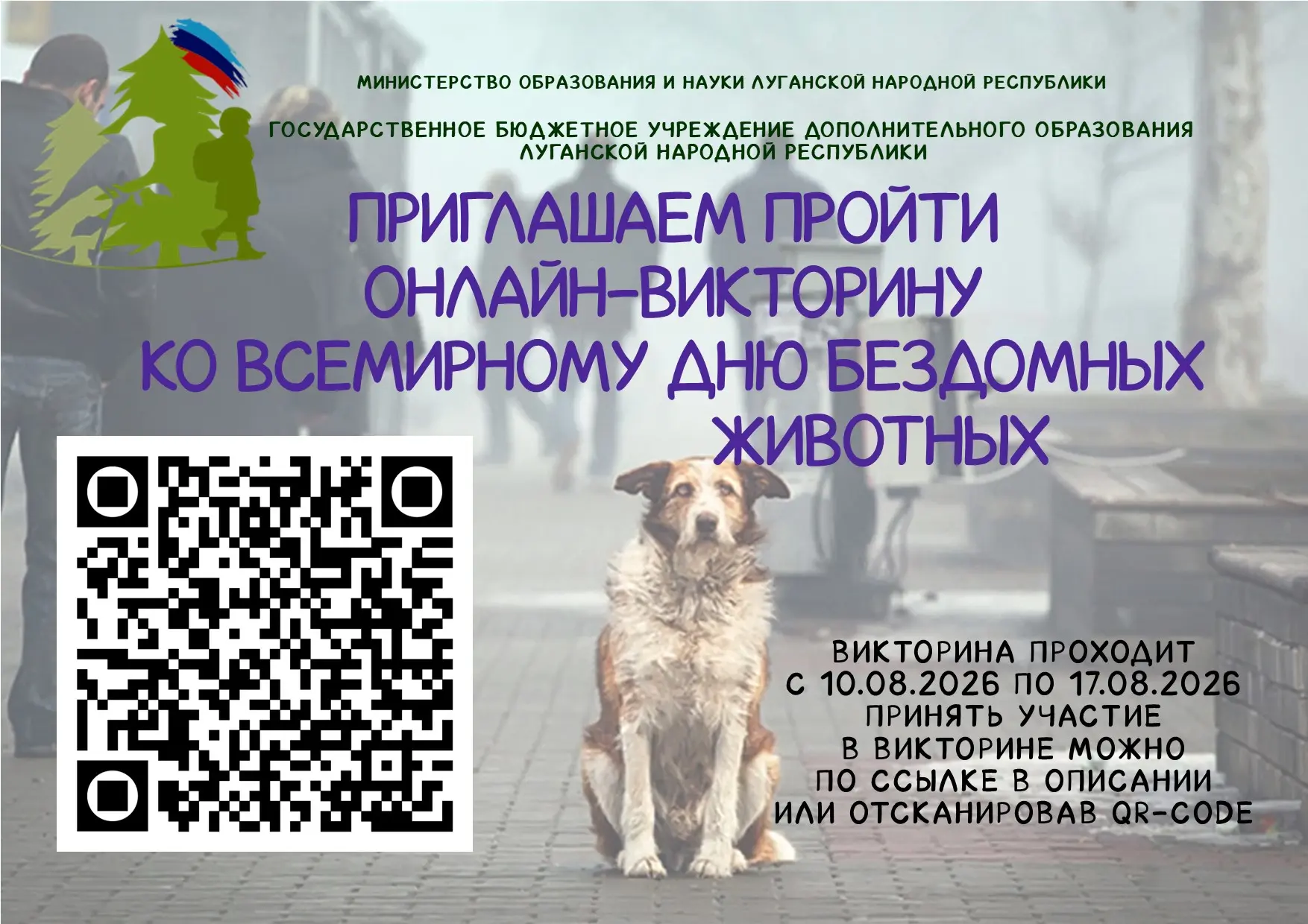 16 августа - День бездомных животных 🐈 🐕