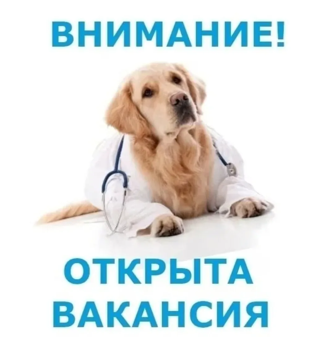 Санитар ветеринарный.