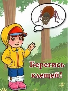 Правила поведения на прогулках с детьми по территориям, опасным в отношении клещей

Клещи обитают в 