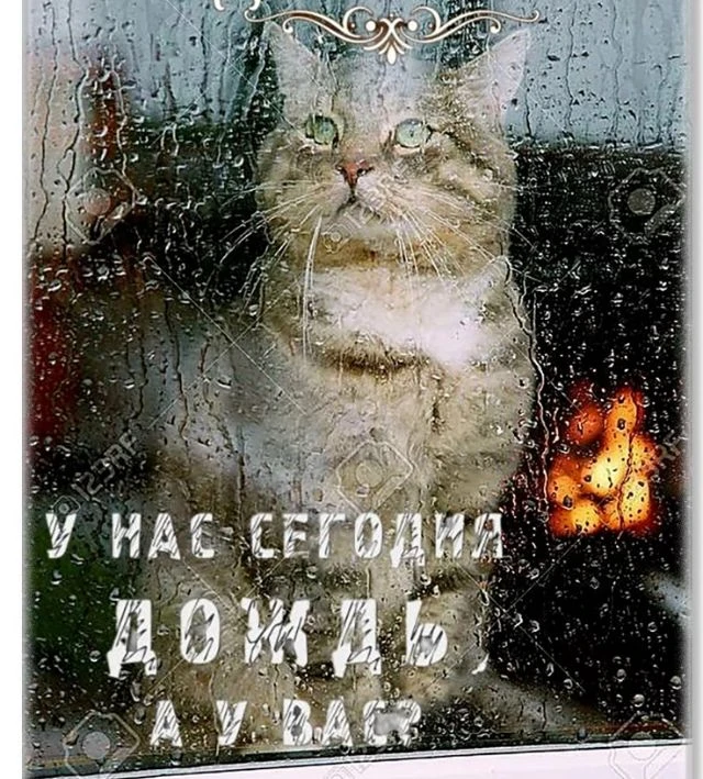 Печально. Но осень вступила в свои права 😞🍂🍁