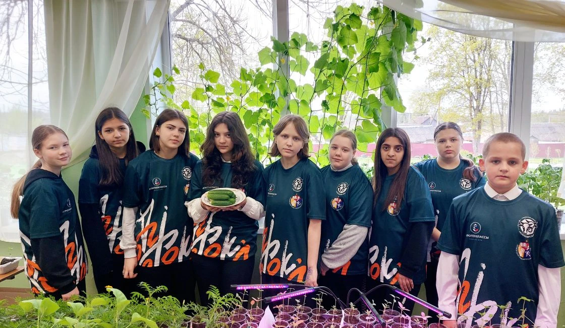 🥒  Рубрика «Огород на подоконнике» продолжается!🌱