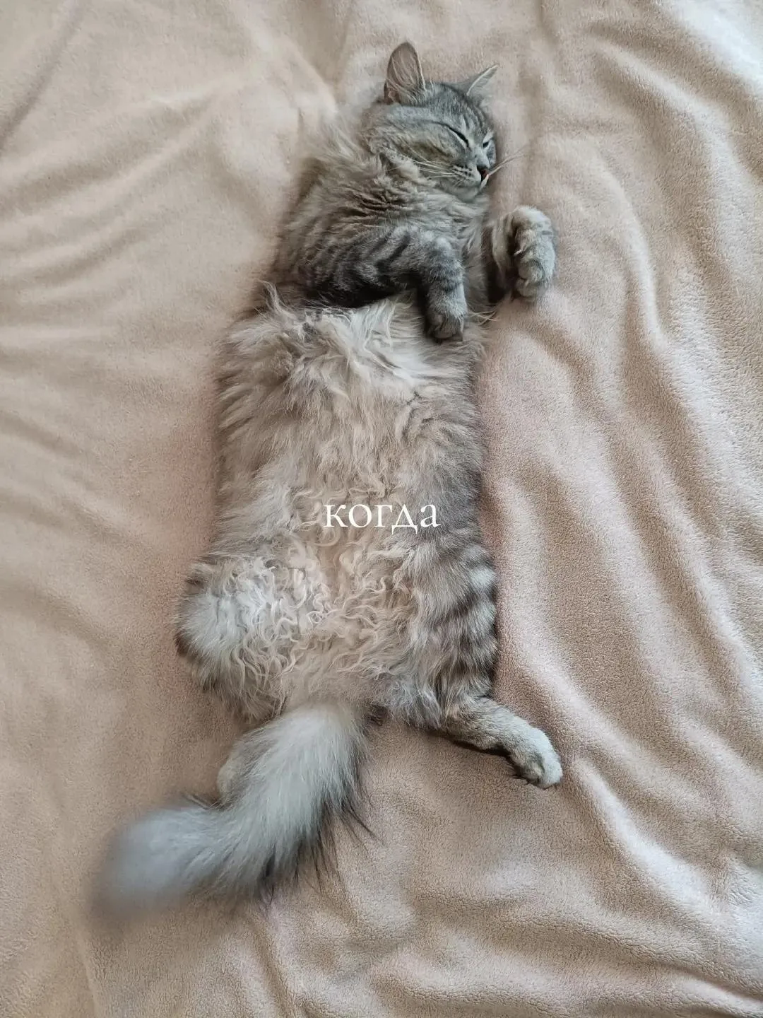 ✌️Подпишись на наш ТГ канал ❤️