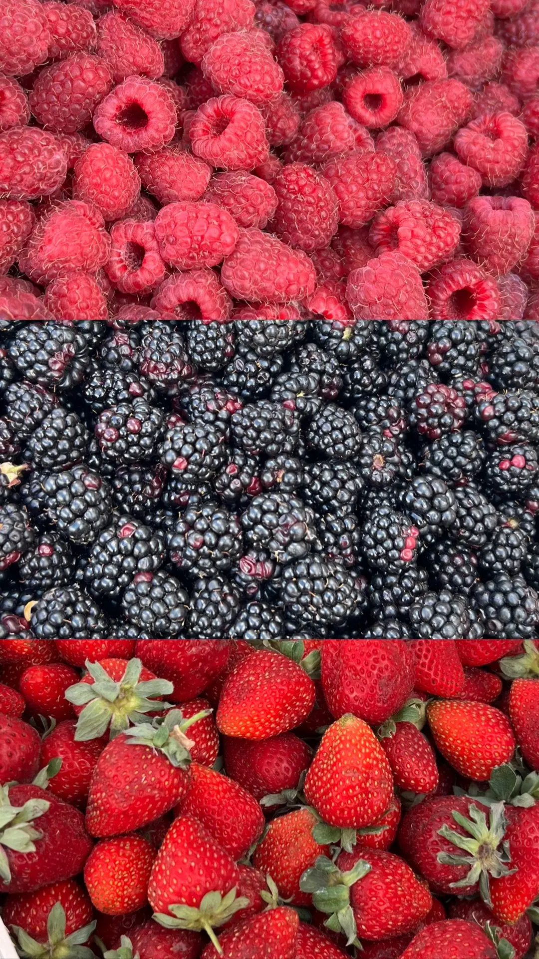 Ягодка по акции и обзор на Ленина! Скоро лето закончится, друзья😉🍓