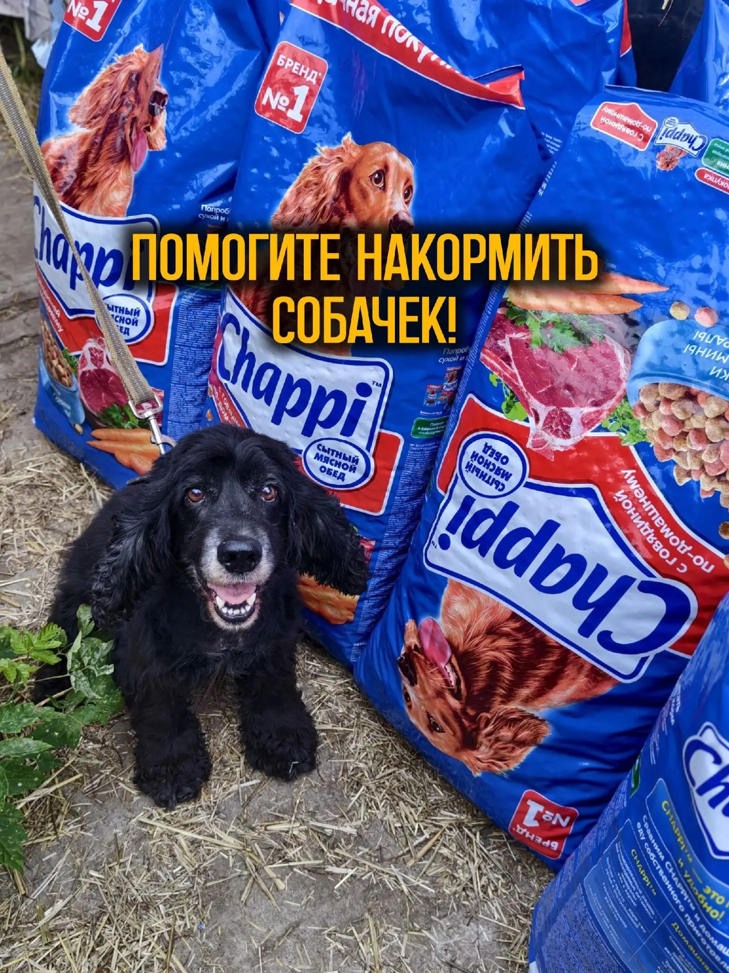 Помогите пожалуйста собрать на оплату кормов и круп!