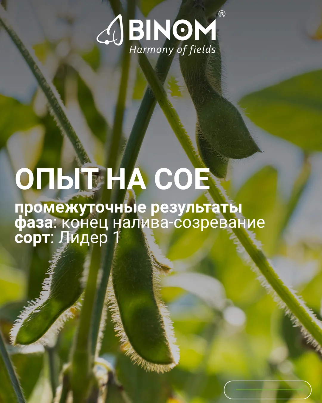 BINOM НА СОЕ – ОЦЕНИВАЕМ СТРУКТУРУ УРОЖАЯ