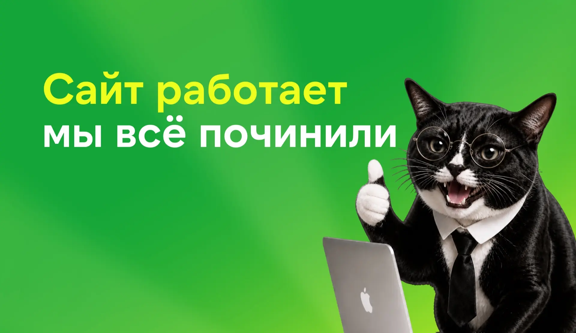Спасибо за ваше терпение 💚