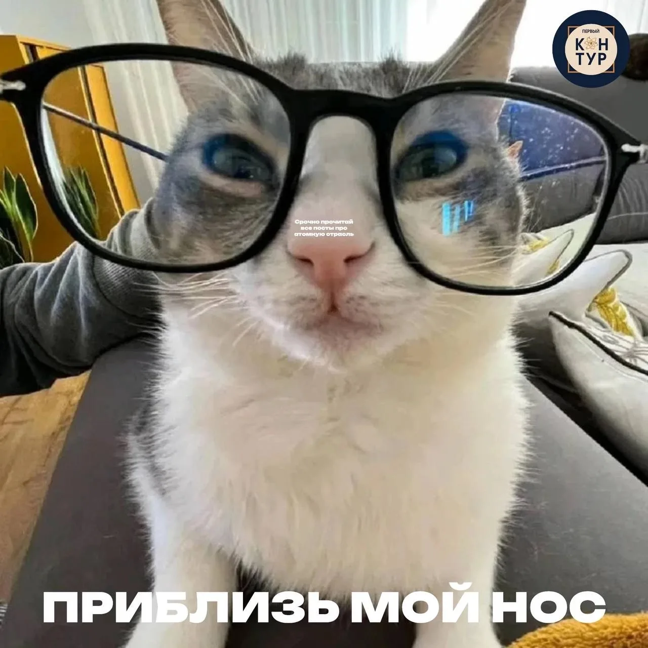 Котик дело говорит 😉