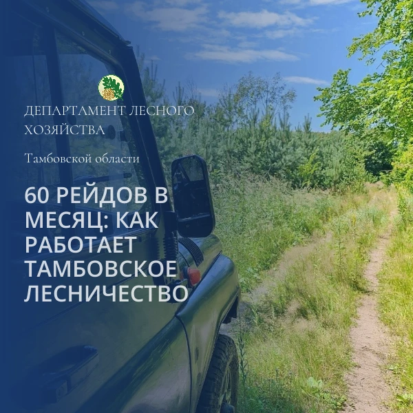 🛑 ВНИМАНИЕ! На территории Тамбовской области введен ОСОБЫЙ ПРОТИВОПОЖАРНЫЙ РЕЖИМ
