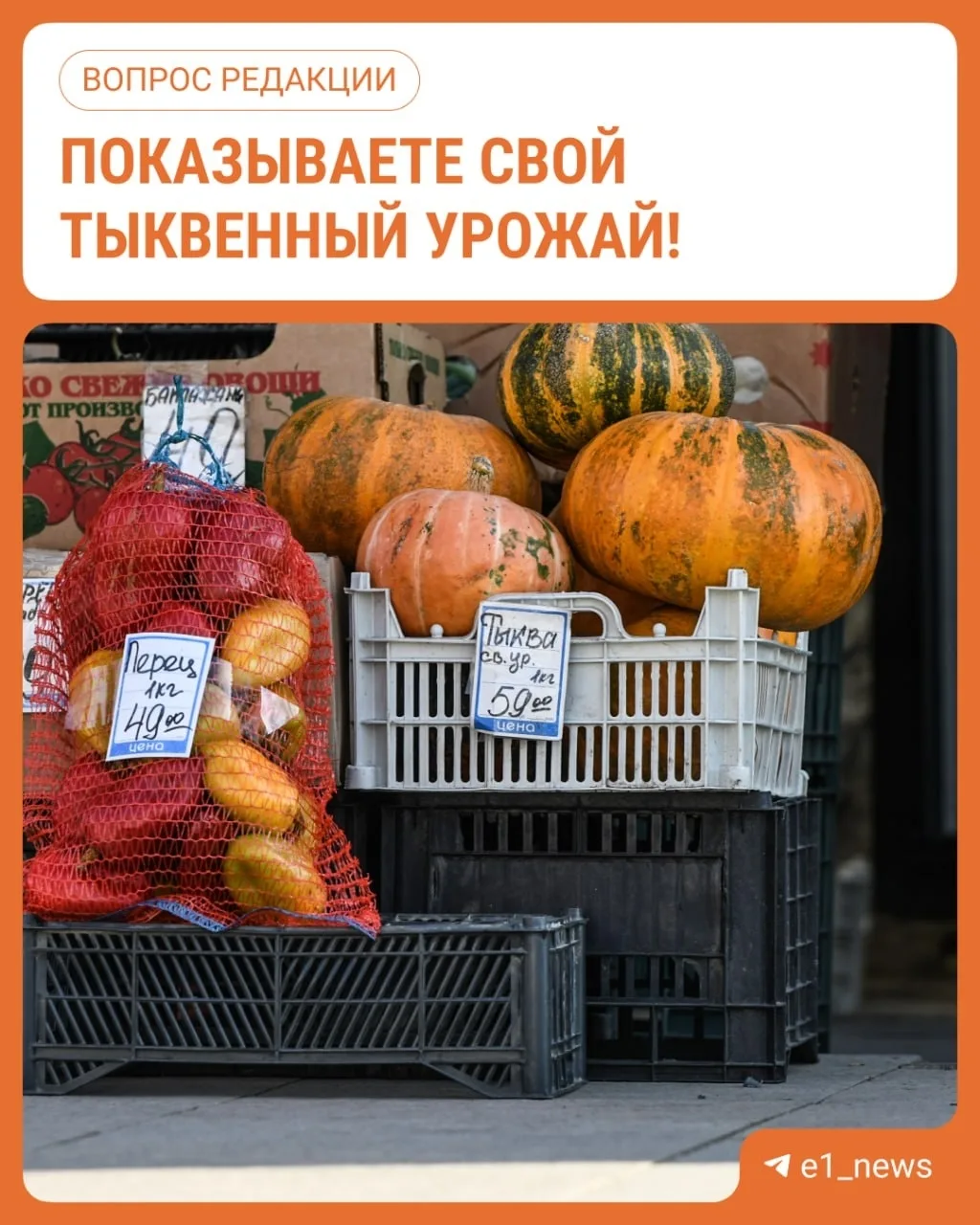 Официально наступила осень! А это значит, что пора делиться урожаем. А какой самый осен...