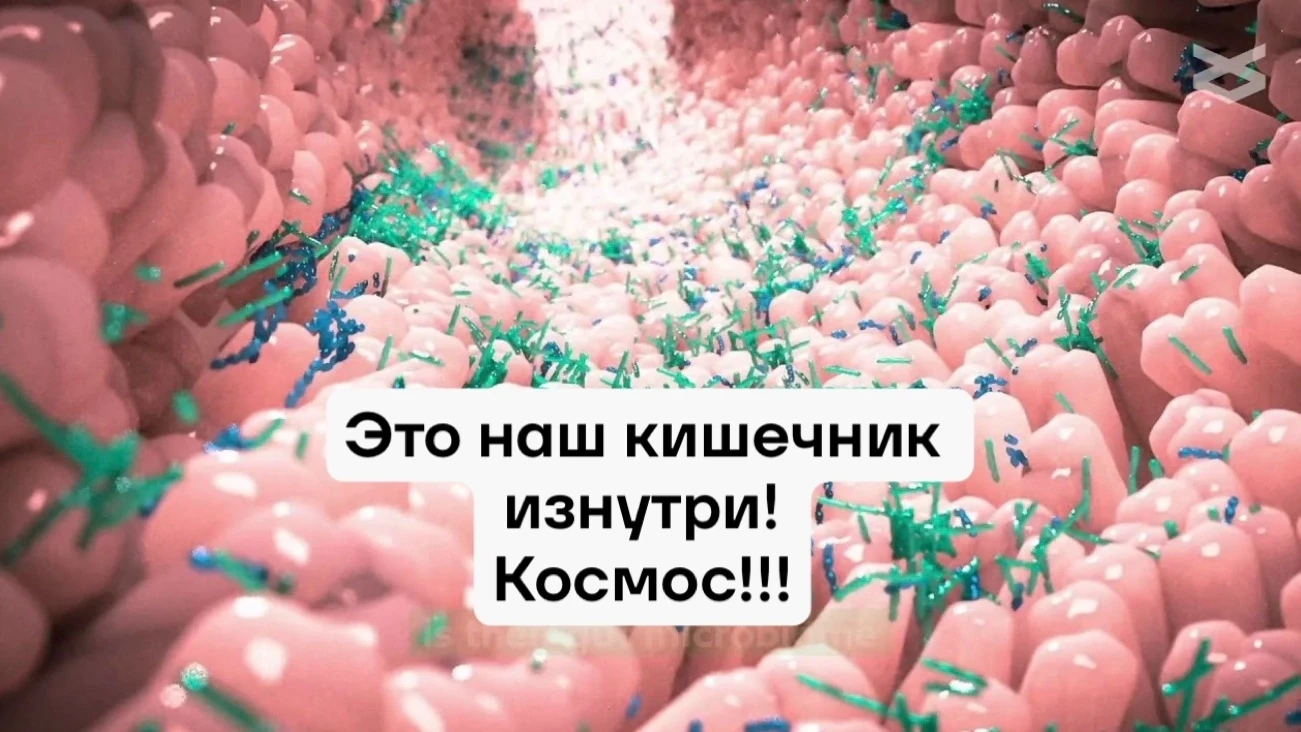 🌍 Мир всё больше озабочен ростом нарушений работы кишечника
