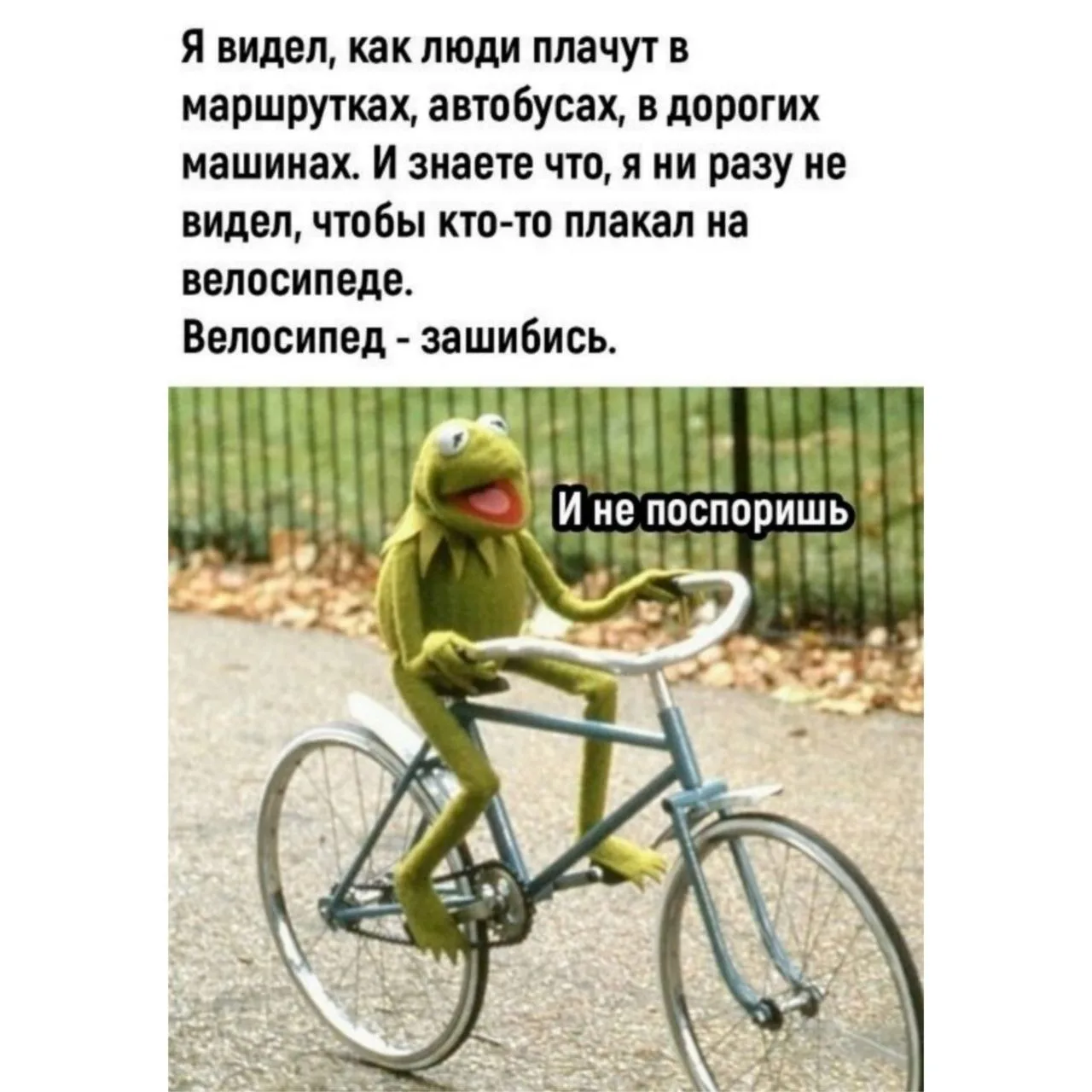Если в пятницу поехать на работу на велосипеде, вероятность заплакать значительно ниже.