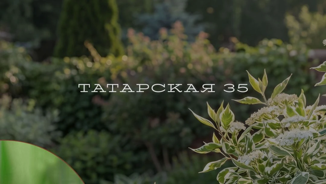 Назначьте свидание весне в ТАТАРСКОЙ 35