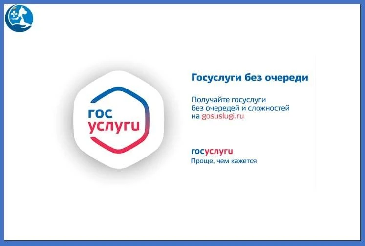 Зарегистрироваться как специалист в области ветеринарии, занимающийся предпринимательск...