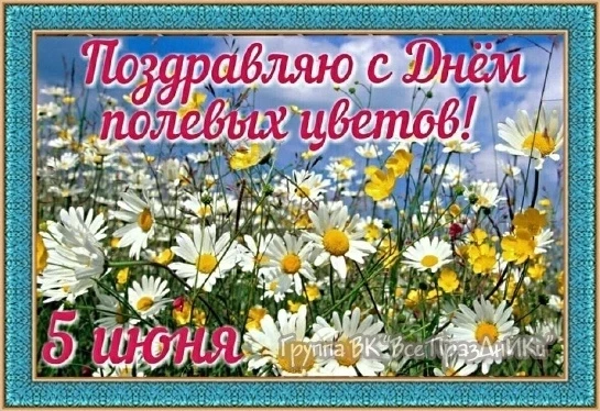 Сегодня день посвящён цветам,чью красоту мы часто не замечаем, а ведь лето- самое время...