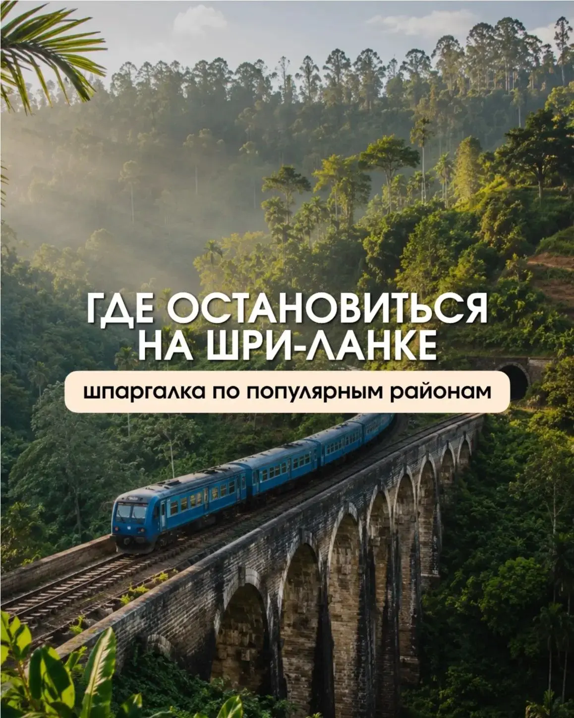 🇱🇰 ШРИ-ЛАНКА — ГОРАЗДО БОЛЬШЕ, ЧЕМ ПРОСТО ПЛЯЖНЫЙ ОТДЫХ