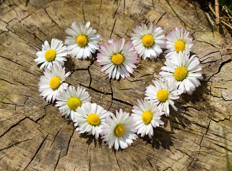 До весны осталось 2 дня 🌸🌷🌼