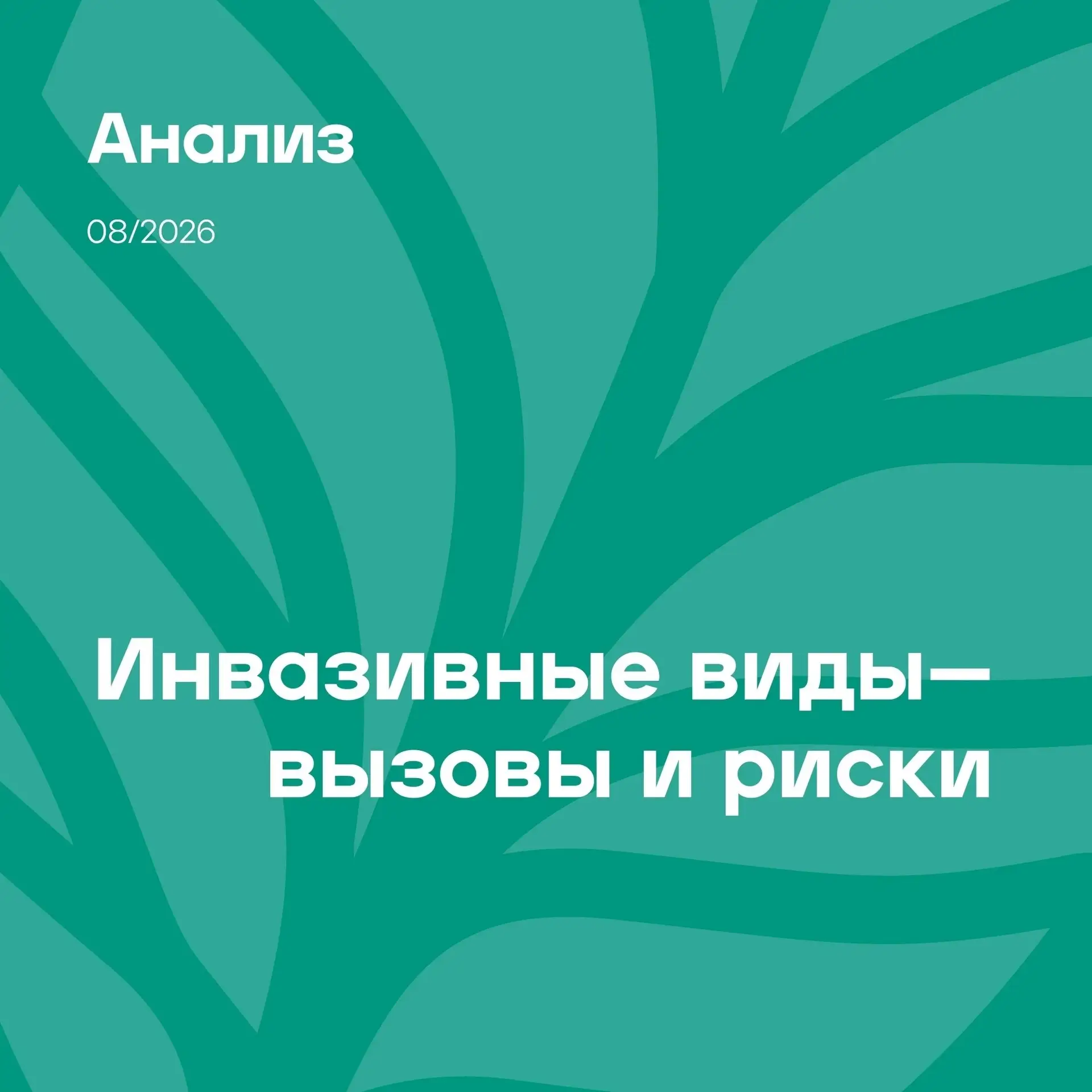 Дорогие друзья!