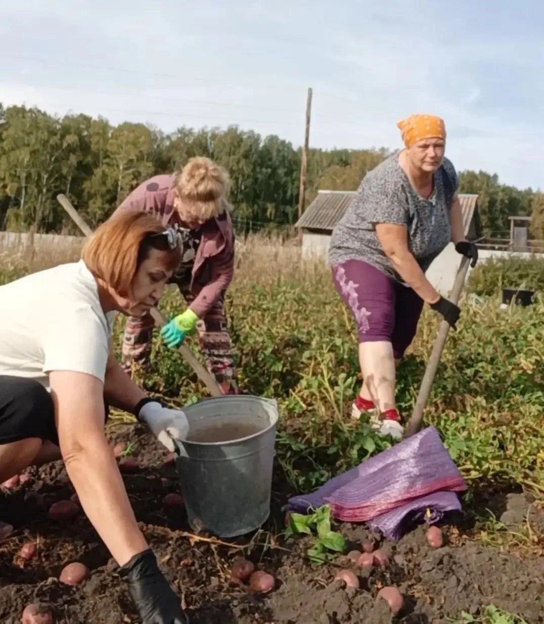 🍟#cоциальныеработники  Горьковского городского округа  Вдовина Т., Коновалова Л. и Ишу...