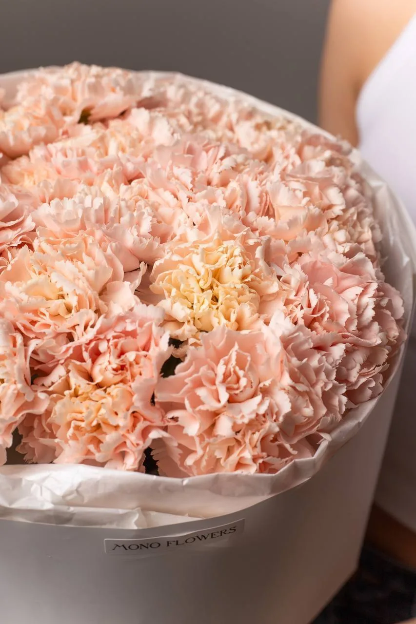 Диантусы персиковые 🌸