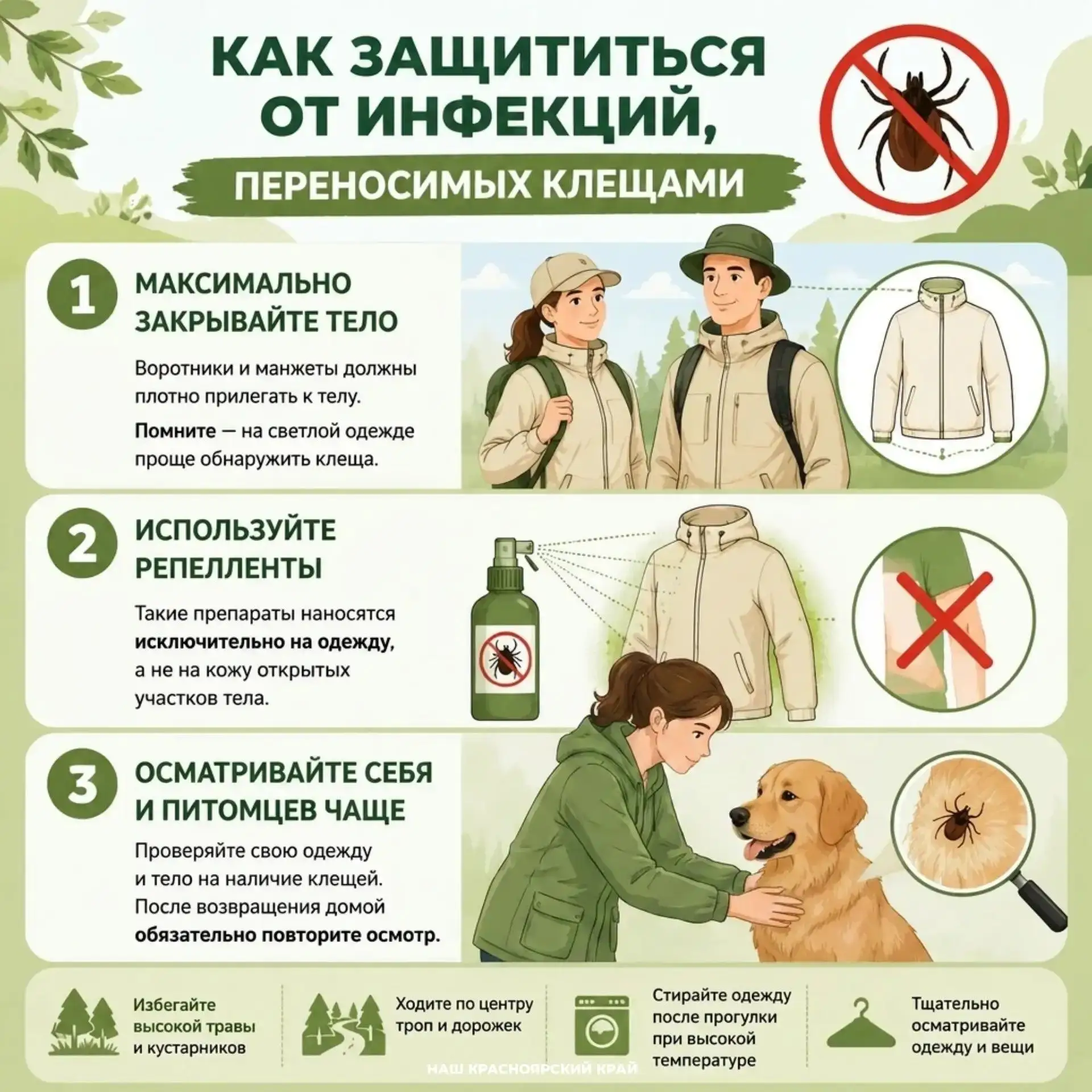 Теплая погода установилась в Красноярском крае. А значит клещи станут еще активнее

Как защититься о
