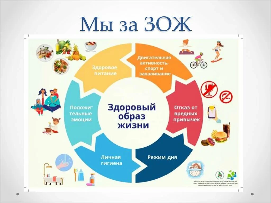 Дорогие друзья!  Сегодня поговорим о важной составляющей нашей жизни — здоровом образе жизни (ЗОЖ). 