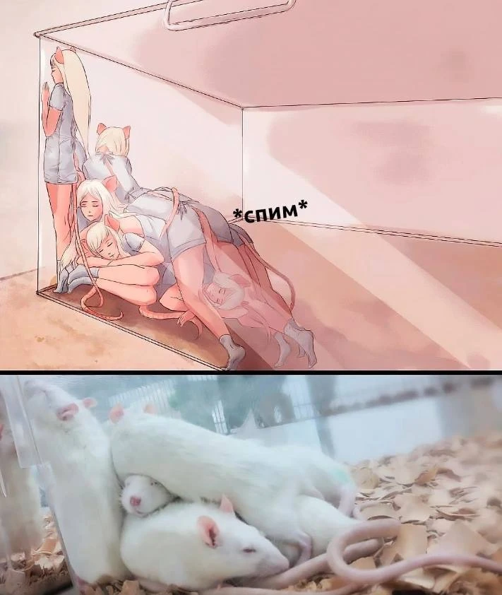 Взято из: Клуб любителей Комиксов
