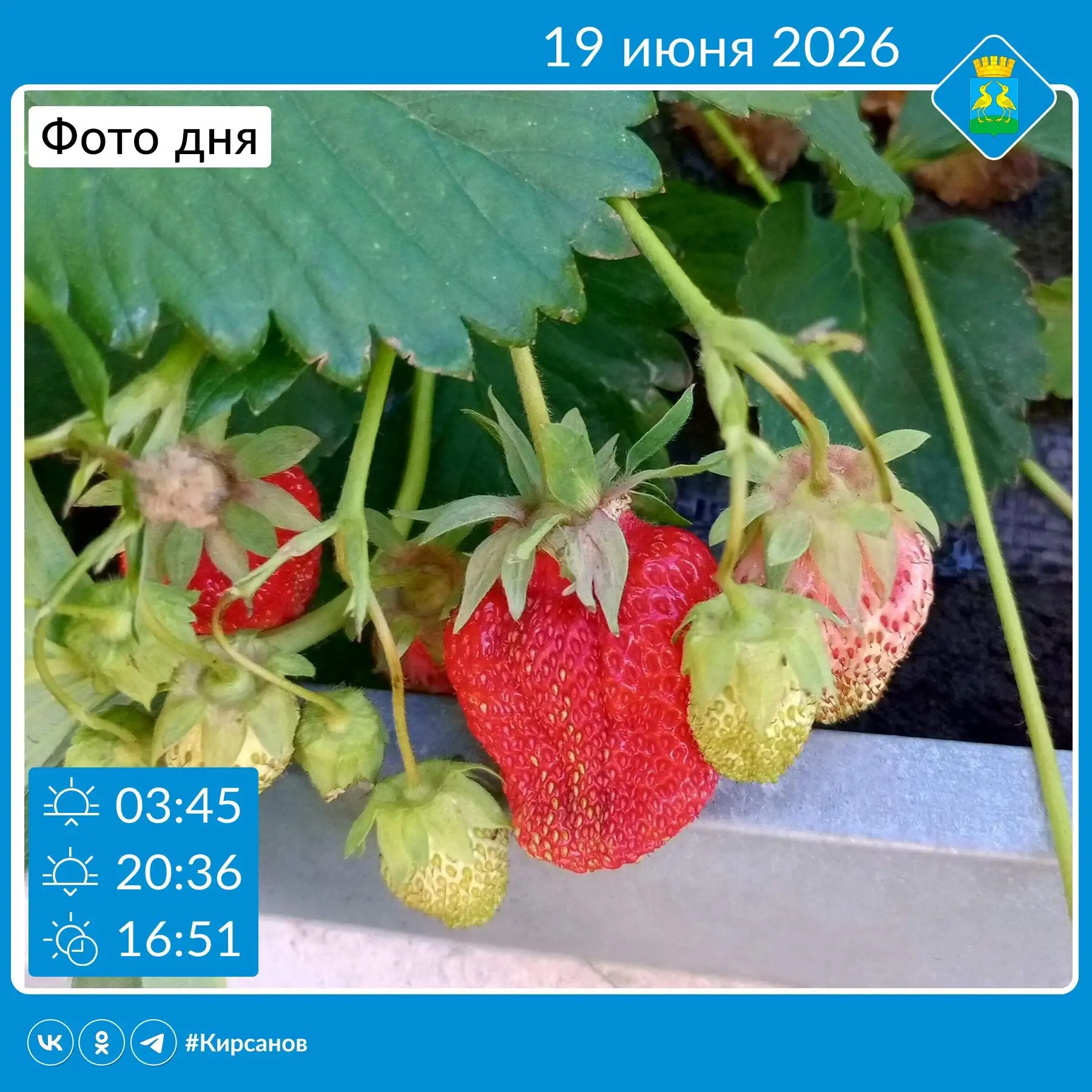 🍓Доброе утро, Кирсанов! 

Пятница, последний рывок перед выходными. По прогнозу синоптиков днём воз