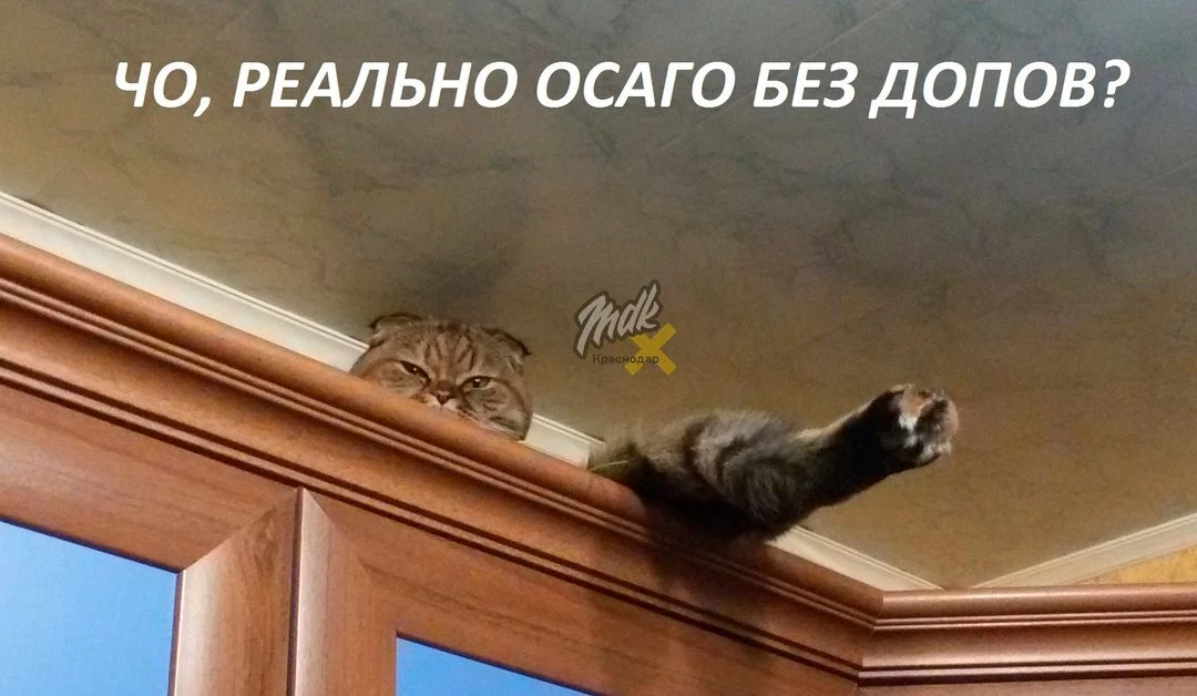 Каждый восьмой водитель на Кубани ездит без ОСАГО

Регион вошел в топ-10 регионов России по доле вод
