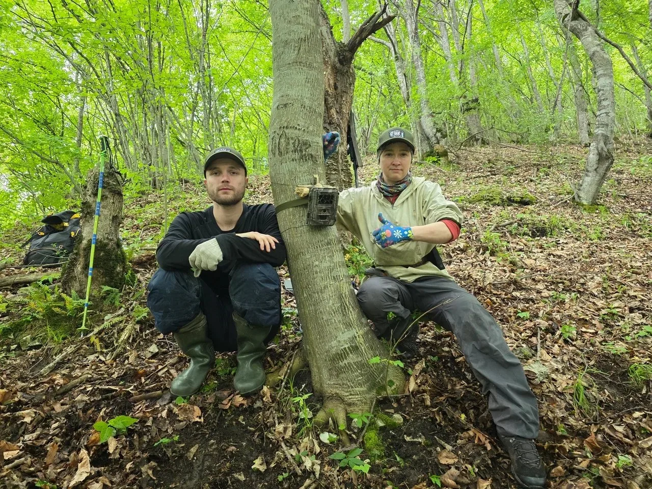 Развитие сети фотомониторинга млекопитающих на Кавказе: