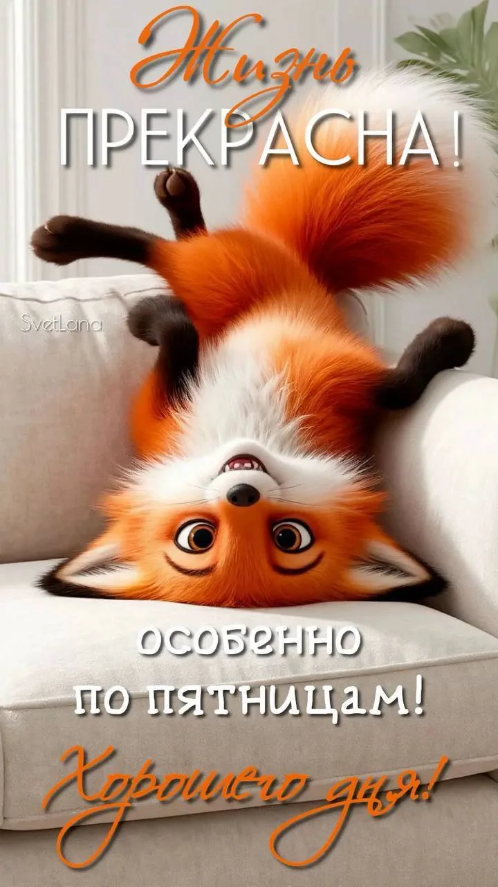 Ставьте ❤️, если понравилась открытка

Открытки - Подписывайтесь!
