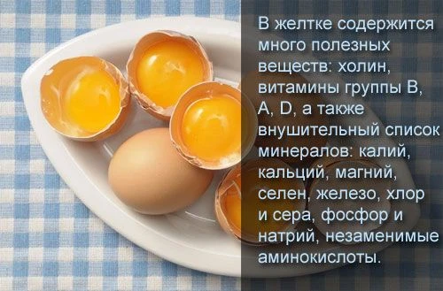 Куриные яйца могут восполнить дефицит витаминов