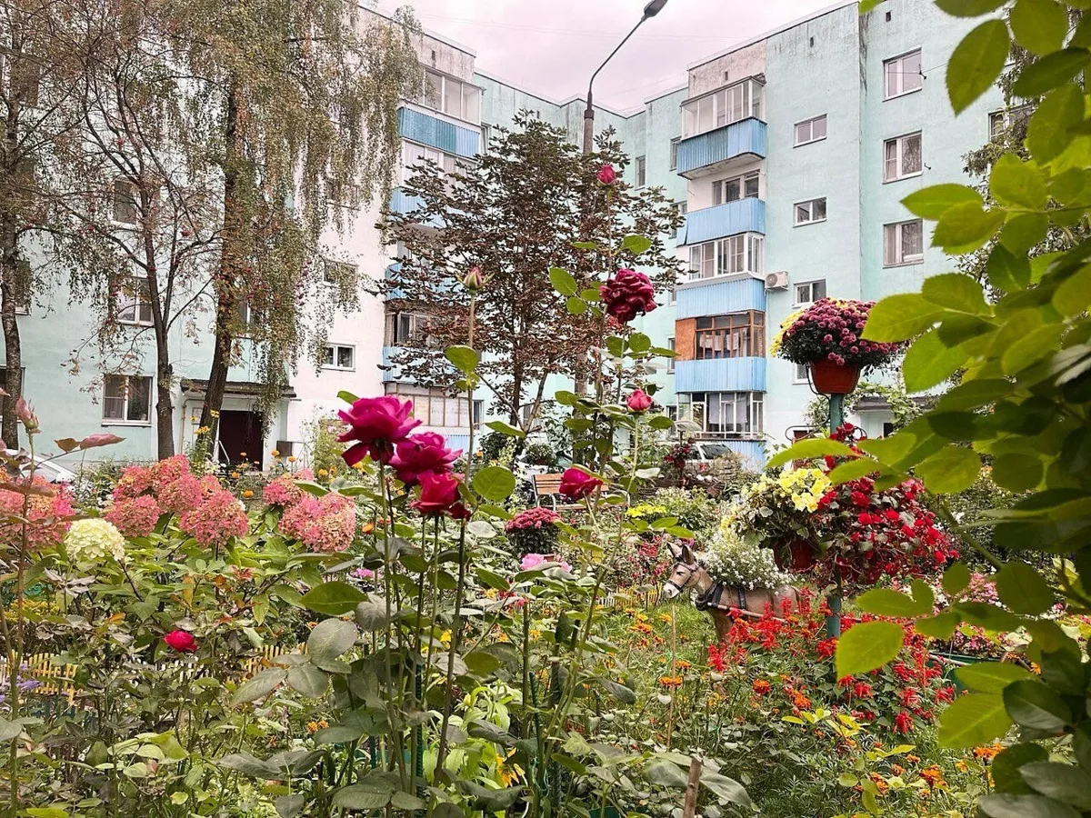 📅 Доброе утро, Краснознаменск!