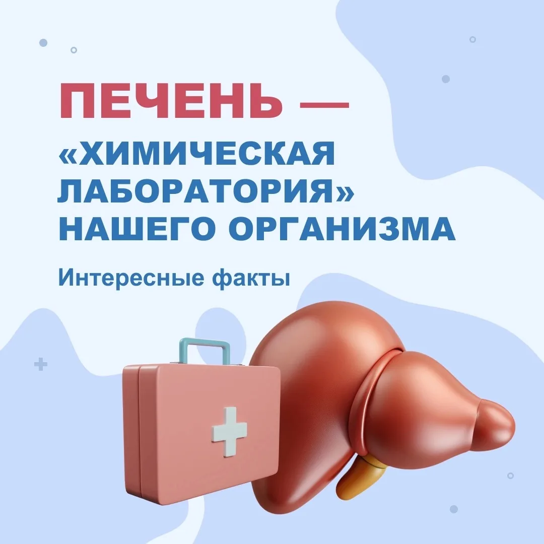 Знали ли вы, что печень — один из самых трудолюбивых органов нашего организма? Она выпо...