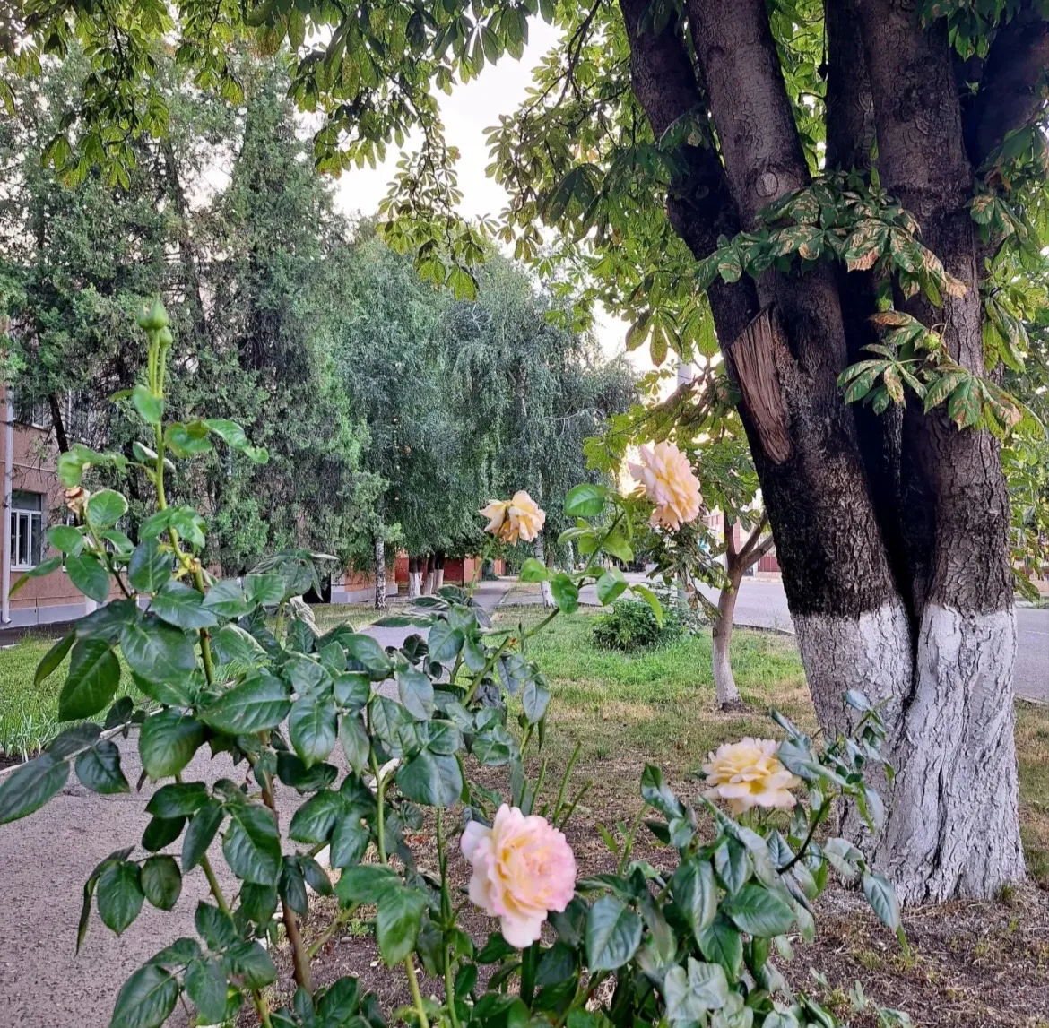 Доброе утро ☀️
