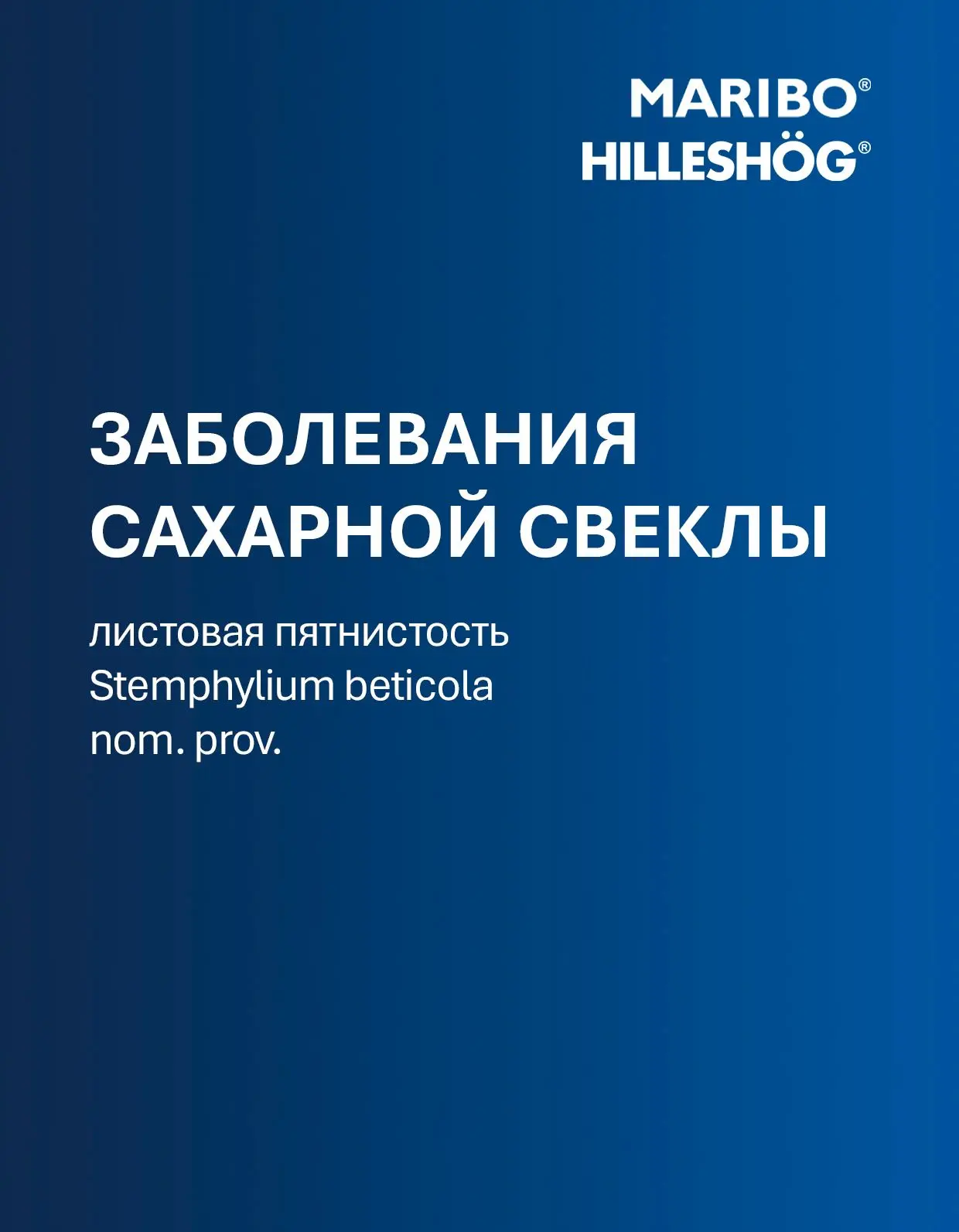 📢 Мы продолжаем знакомить вас с опытом наших европейских коллег.