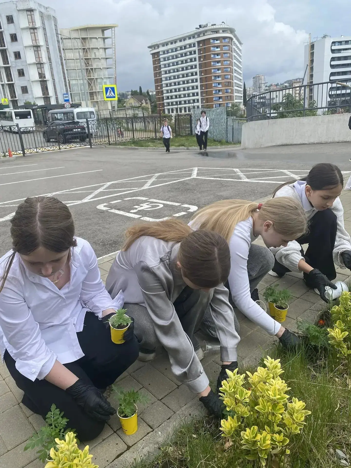 🌱Совсем недавно учащиеся засеяли емкости семенами ярких бархатцев. Когда маленькие ростки стали дост