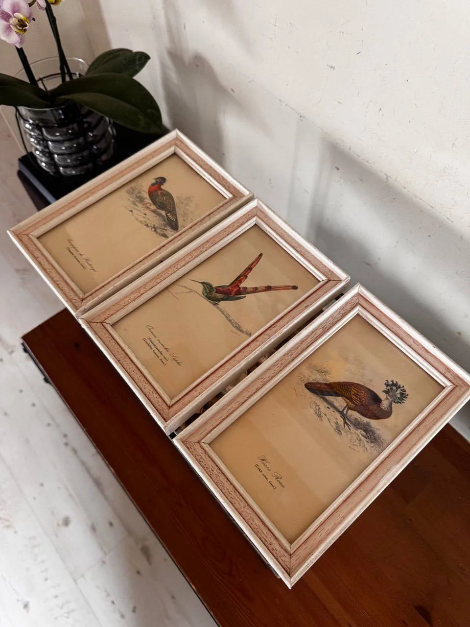 Гравюра картина панно птицы 🦅🎨.

14х21.5 см с учетом рамы (дерево )
6 000 ₽ Цена указана за одну г