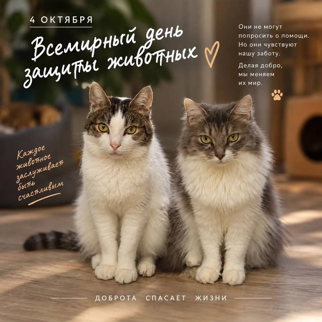 🐾 4 октября — Всемирный день защиты животных