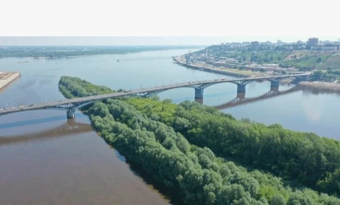 Чудище с острова Гребнёвские пески