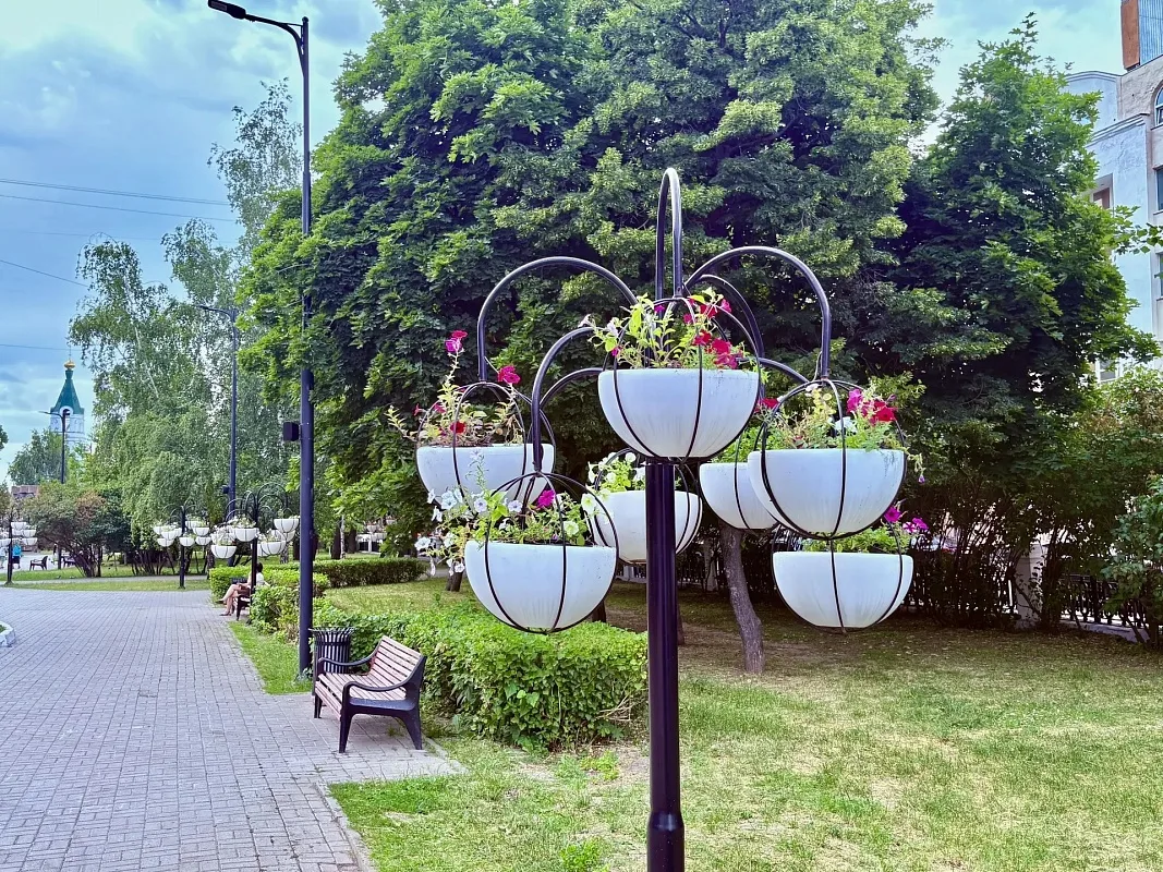 🌼 В Рязани появятся новые «цветочные точки» на проезде Завражнова, Лыбедском бульваре ...