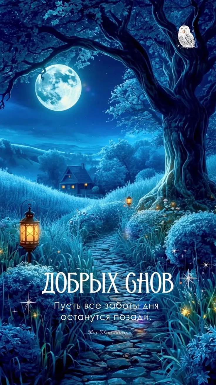 СОЛНЕЧНЫЕ ОТКРЫТКИ