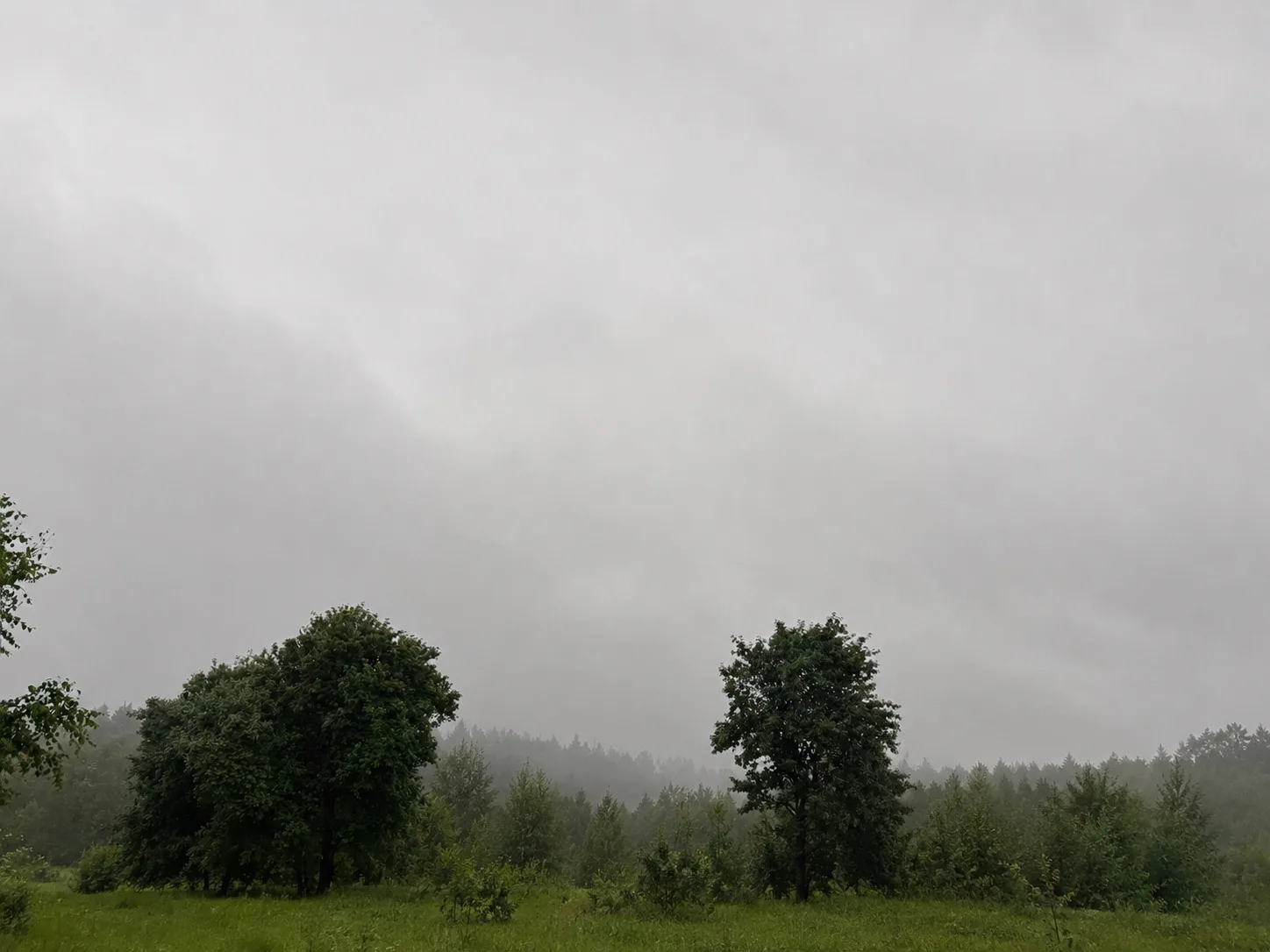 Доброе утро, Алексеевский район! 🌧️

Пятница встречает нас пасмурным небом, дождями и грозами. Не з