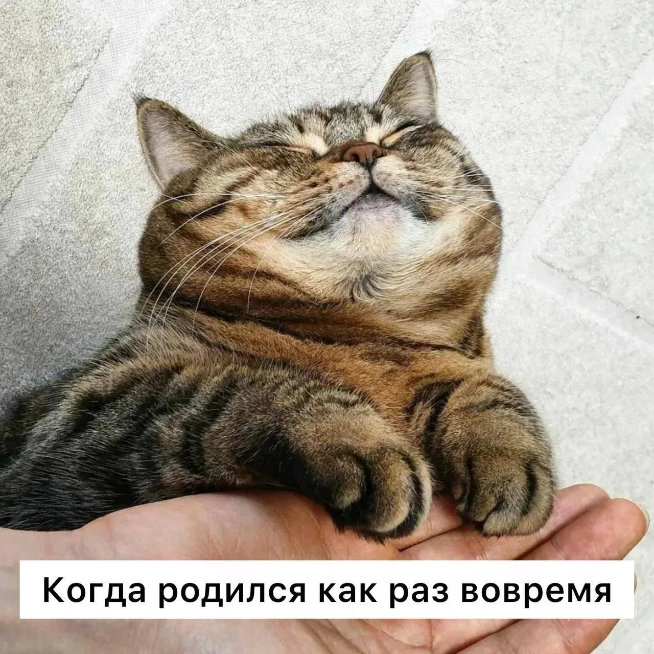 Люди, рожденные 9, 18 и 27 числа, обладают наибольшими шансами на достижение финансовог...
